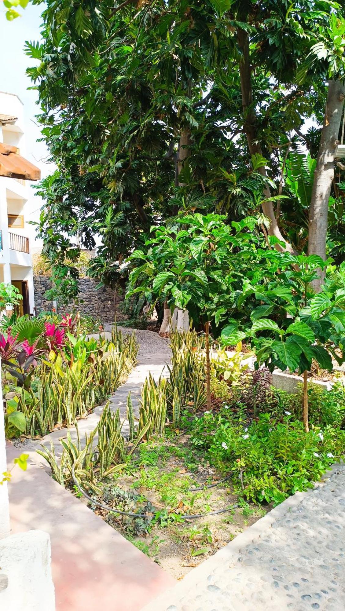 Oasis Paul Residencial Hotel Exterior photo